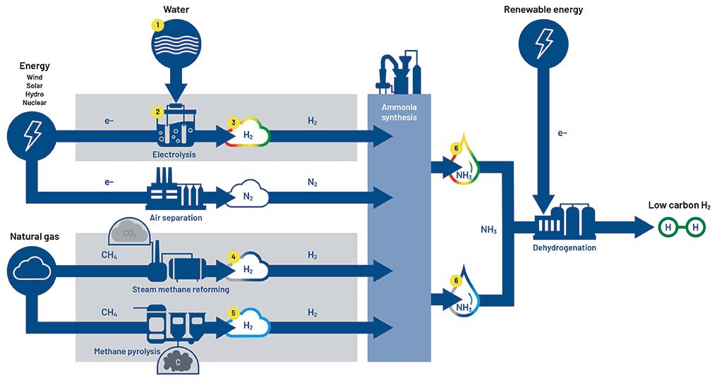 Illustrated process flow of hydrogen production using electrolysis and natural gas reforming, with ammonia synthesis and dehydrogenation for low-carbon energy applications.