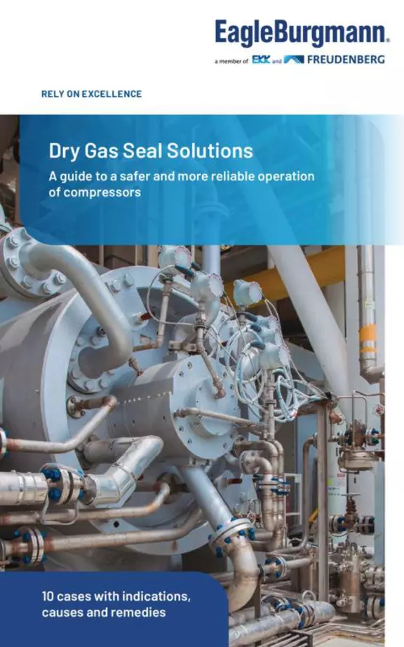 DGS 10 cases booklet. Dry gas seal solution. A guide to a safer and more reliable operation of compressors. 10 cases with indications. causes and remedies.
