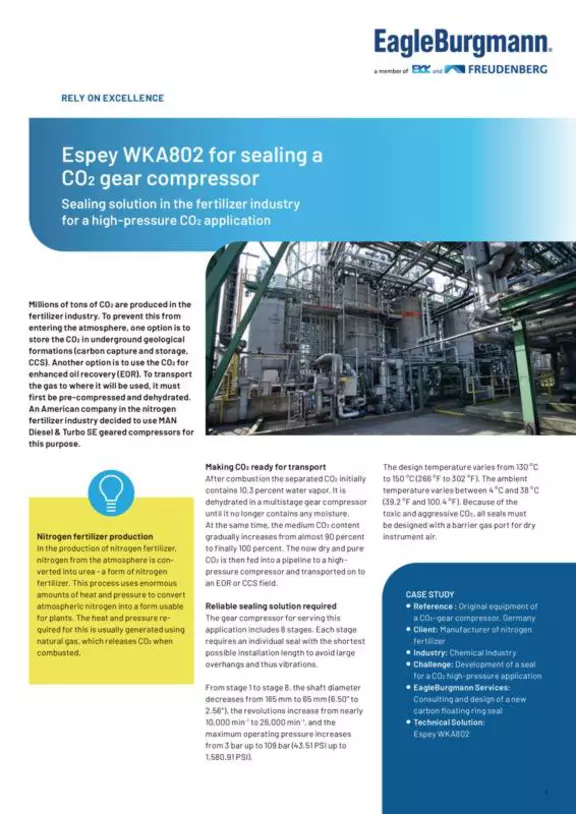Espey WKA802 for sealing a CO₂ gear compressor