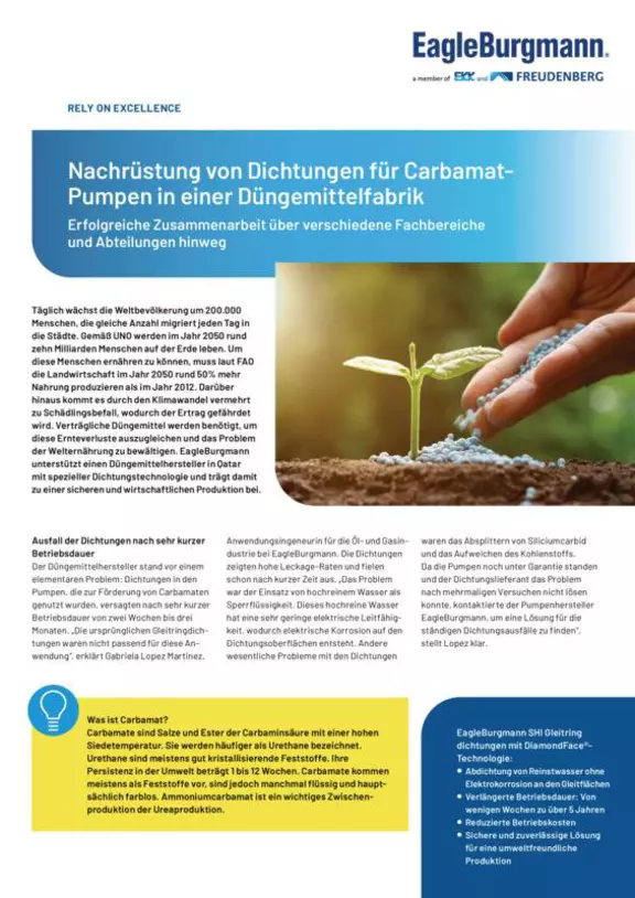 SHI. DiamondFace. Nachrüstung von Dichtungen für Carbamat-Pumpen in einer Düngemittelfarbik. Case Study. Solution.