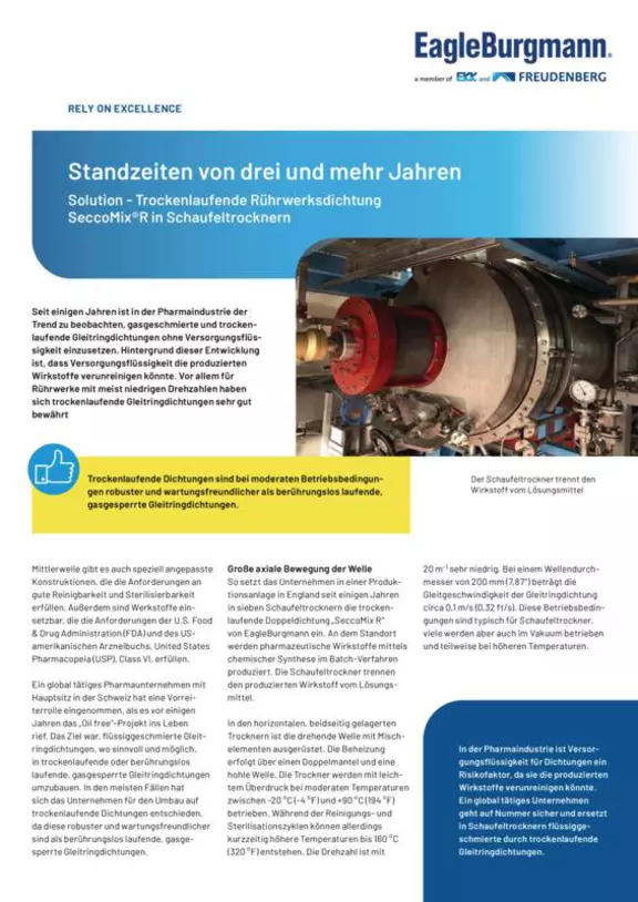 Standzeiten von drei und mehr Jahren. Trockenlaufende Rührwerksdichtung SeccoMixR in Schaufeltrocknern. Case Study. Solution.