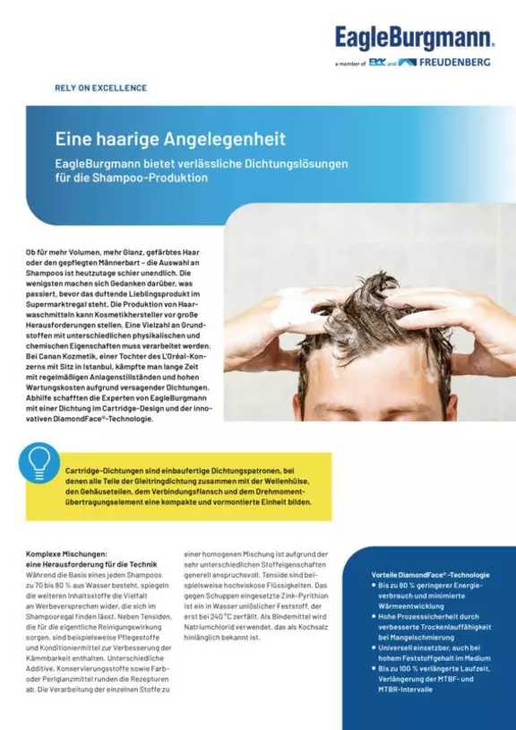 eCartex, DiamondFace. L’Oréal. Eine haarige Angelenheit. EagleBurgmann bietet verlässliche Dichtungslösungen für die Shampoo-Produtkion.