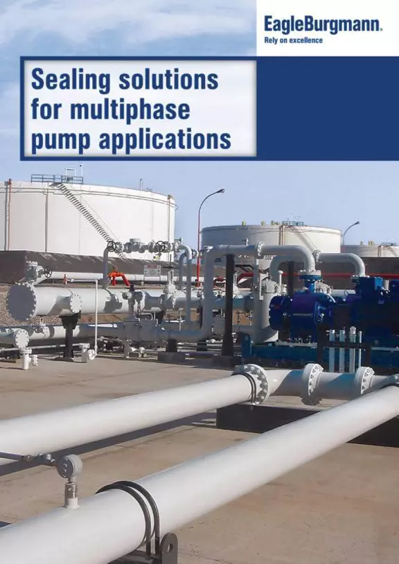 Sealing solutions for multiphase pump applications