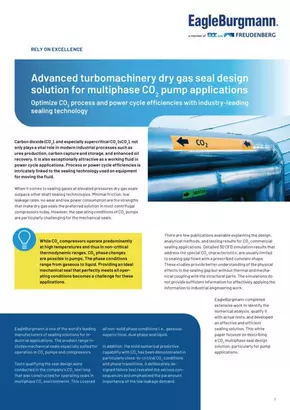 EagleBurgmann_DGS-design-solution-for-multiphase-CO2-pump-applications_WP_22-12.pdf