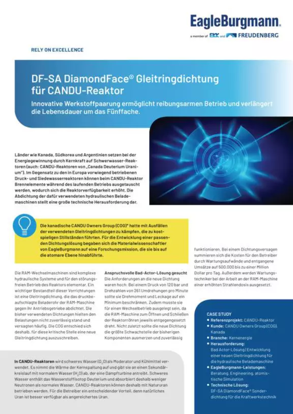 DF-SA DiamondFace Gleitringdichtung für CANDU-Reaktor. COG. Canada. Case Study. Solution.