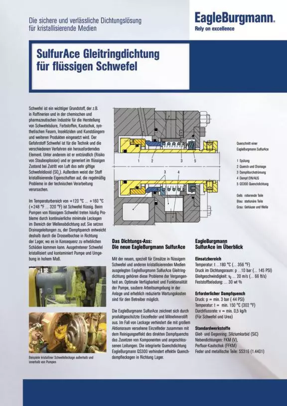 SulfurAce Gleitringdichtung für flüssigen Schwefel. Kristalline Medien. Case Study. Solution.