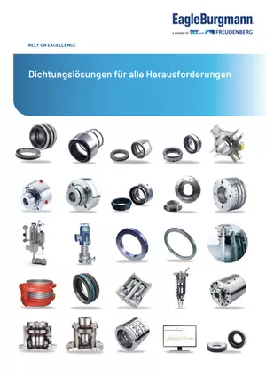 Dichtungsloesungen-fuer-alle-Herausforderungen_0725.pdf