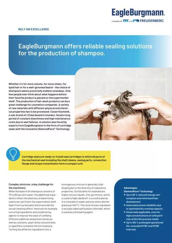 eCartex, DiamondFace. L’Oréal. EagleBurgmann offers reliable sealing solutions fo rthe production of shampoo. Case Study. Solution.