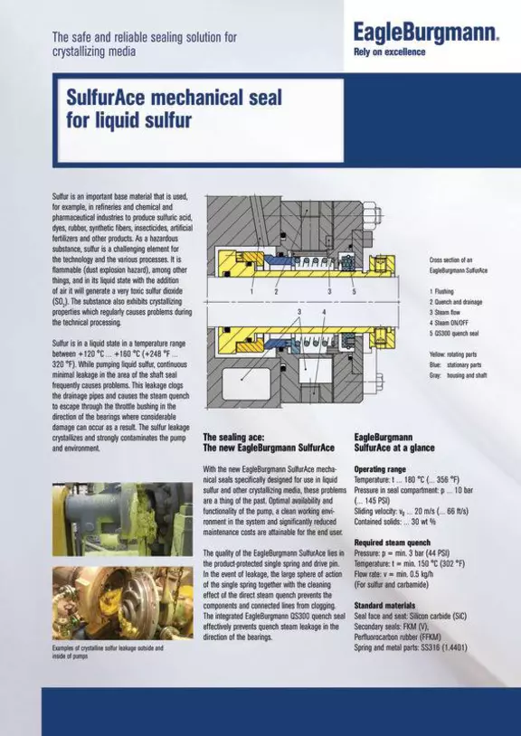 SulfurAce mechanical seal for liquid sulfur. crystallizing media. Case Study. Solution.