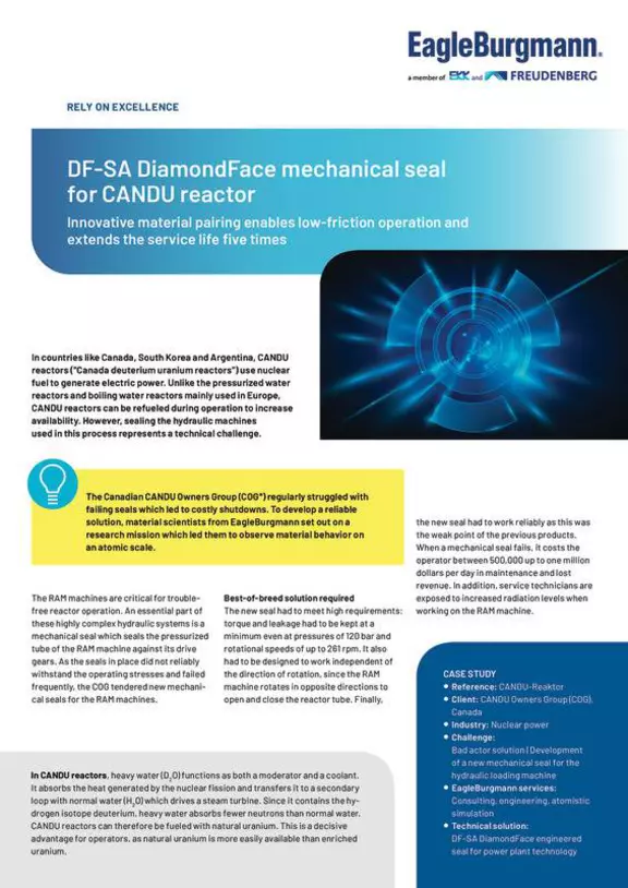 DF-SA DiamondFace mechanical seal for CANDU reactor. Canada. COG. Case Study. Solution.