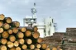 Pulp production