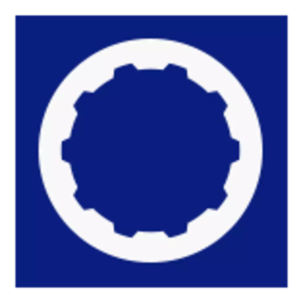 Icon graphic of a circular sealing element in white and blue, shown as a technical symbol for mechanical sealing applications.