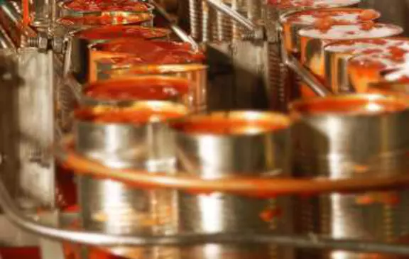 Automated canning line in a food production facility, showing high-speed packaging and filling processes for industrial manufacturing.