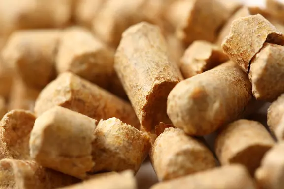 Wood pellets for biomass-based industrial energy production.