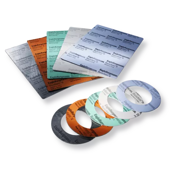 Gasket sheets and flange gaskets for reliable sealing of industrial flange connections in process, energy, and chemical applications.
