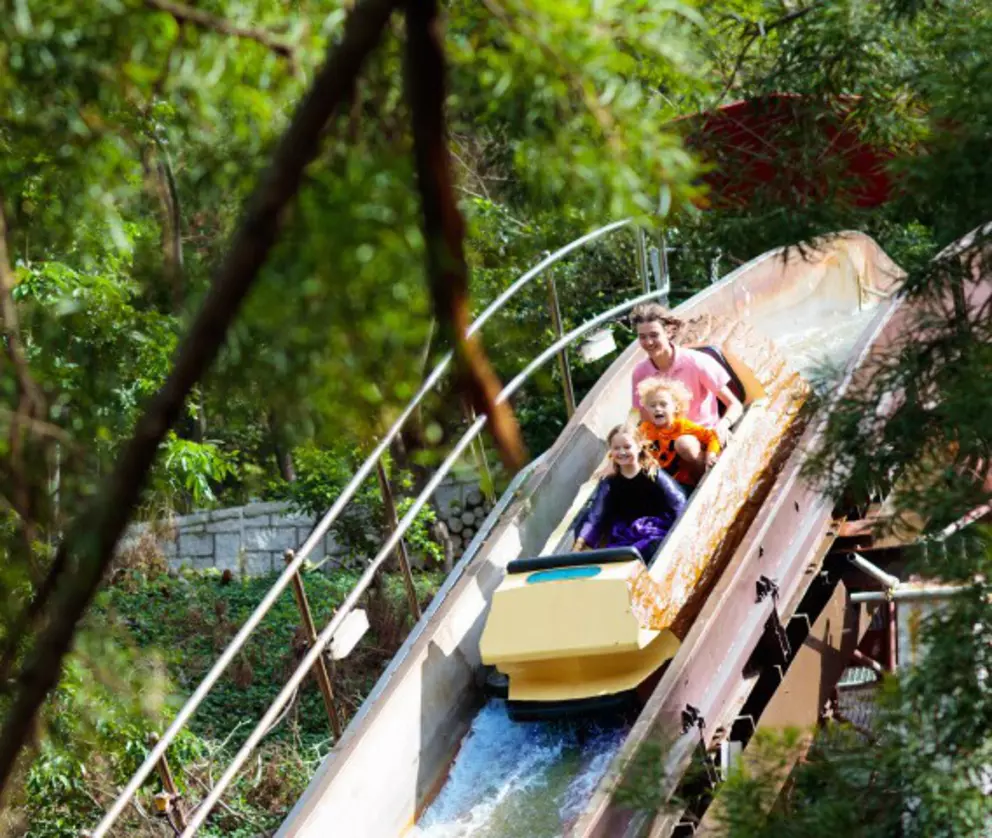 Familie bei einer aufregenden Wildwasserbahn-Fahrt durch einen üppigen Wald in einem Freizeitpark.