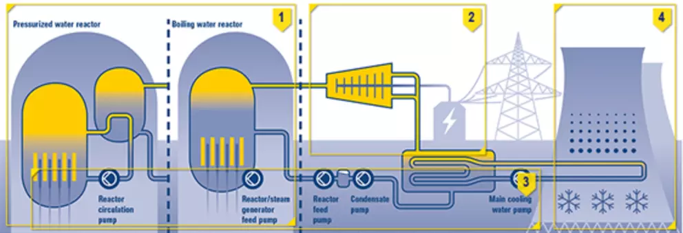Schematic diagram of a nuclear power plant process showing pressurized and boiling water reactors, feed and cooling water pumps, steam turbines, and power generation flow.