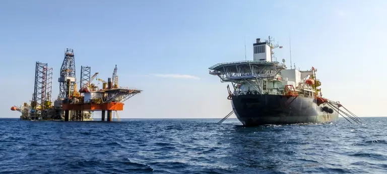 Ultra-high-pressure PDGS compressor seal for CO2 gas reinjection