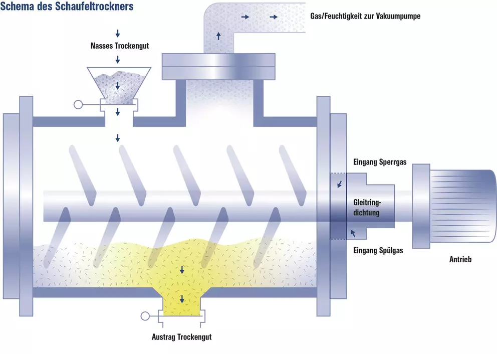 Schematische Darstellung eines Schaufeltrockners mit Gleitringdichtung zur sicheren Trocknung, Förderung und Austragung von Schüttgütern in industriellen Prozessanlagen.