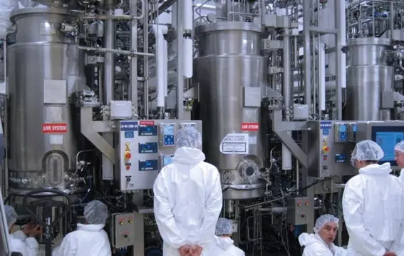 Industrial plant with process vessels and staff in protective clothing.