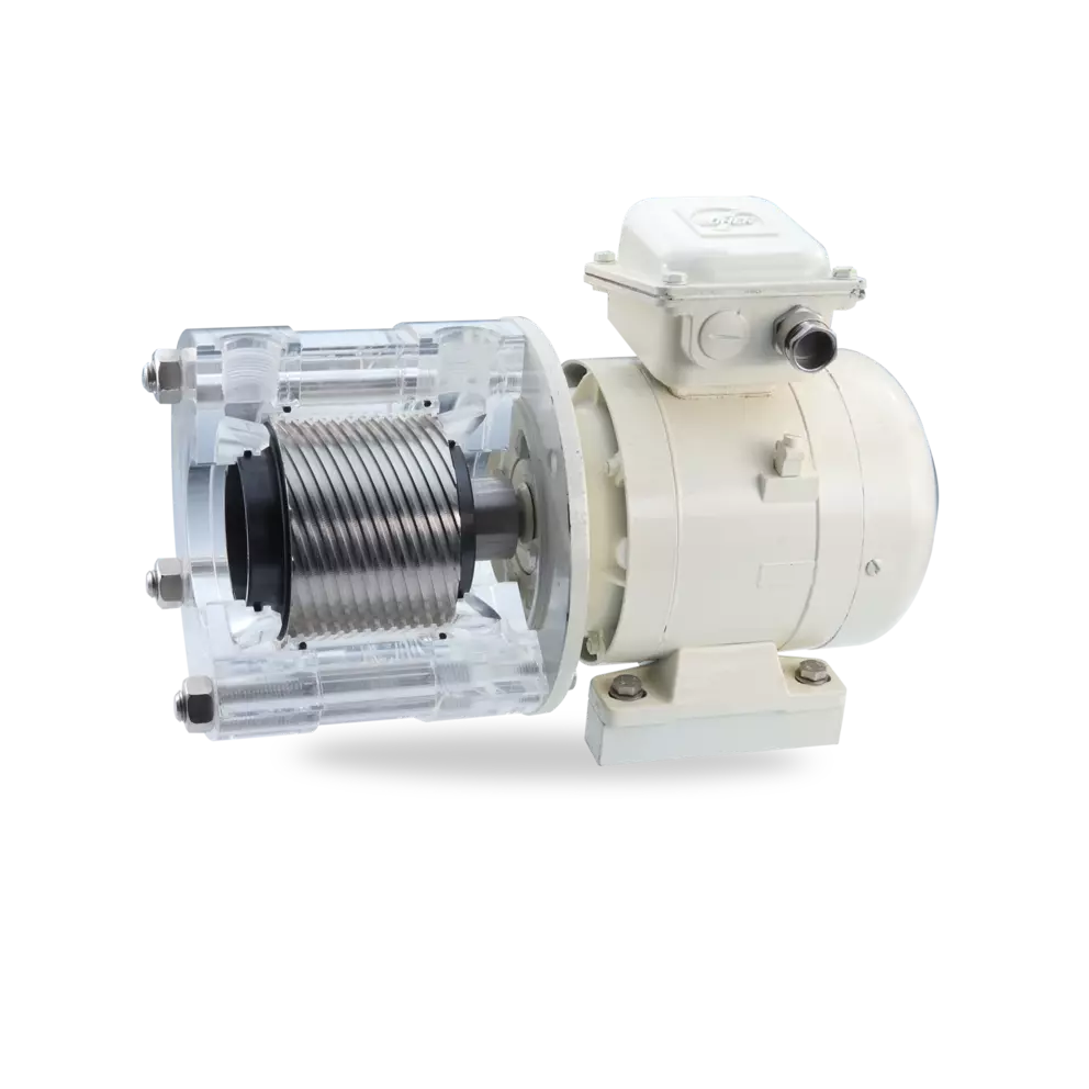 A studio photo of a white industrial motor connected to a cutaway view of a coupling, showing the internal corrugated metal bellows and a black rubber element inside a clear acrylic housing, all on a black background.