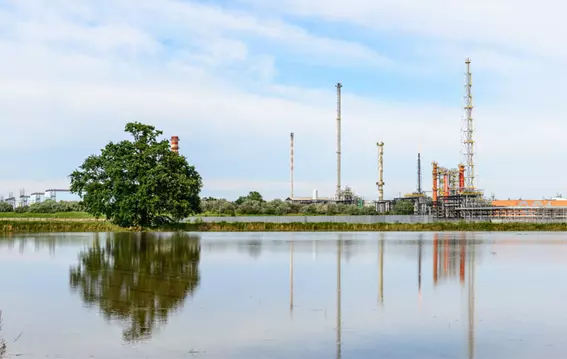 EagleBurgmann MFLWTI Metallbalgdichtung mit DiamondFace-Beschichtung und Plan 66A, entwickelt für Hochtemperatur-Rohölprozesspumpen.
