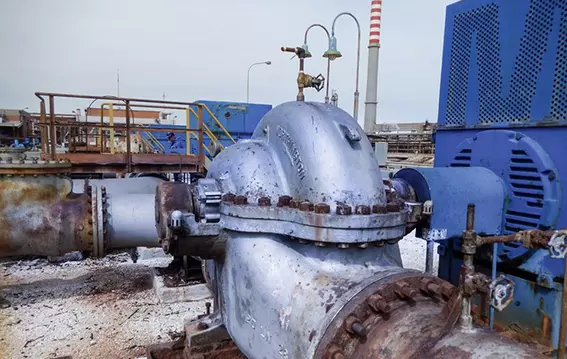 EagleBurgmann Splitex Gleitringdichtungen in Meerwasser-Förderpumpen in Italien installiert.